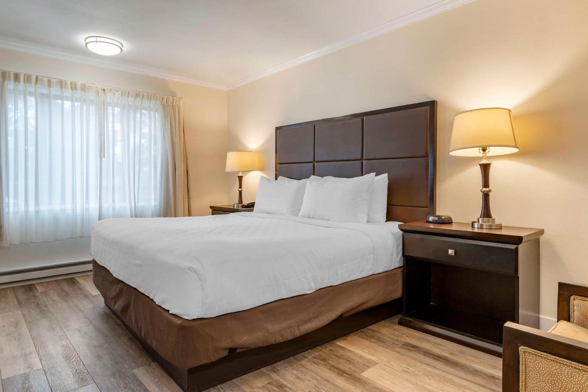Best Western Carmel'S Town House Lodge Exteriér fotografie
